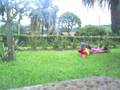 videos de Millena, seu mico ¬¬