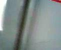 guist\