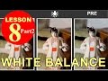 Lesson 8.2 - White Balance in the camera (Photography Tutorial)