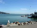 sausalito summer