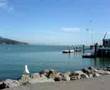 sausalito summer