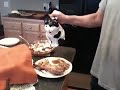 I uploaded a YouTube video -- The Cat Doesn't Feel Well http://www.youtube.com/watch?v=EYK7Qw4mMQ4&feature=autoshare_twitter