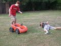 Backyard fun 4