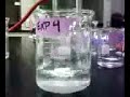 Chemical Kinetics: Experiment 4
