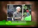 abw bansalan grand reunion part 4