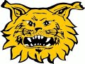 Tampereen Ilves - Feelings of Glory II Tampereen Ilves - Feelings of Glory II