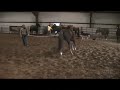 Classy Frenchman - Trot Circles