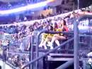 Florida Panther Ice Dancers
