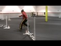 2010-02-09 | Dexter Portuguese Podengo 020610 CPE L2 Jumpers.mp4 ~> Dexter, CPE Jumpers L2. Q#1, 1st place! (<span>0:)