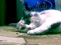 awww! starin at me like any thing...! have a look