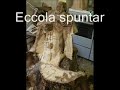 Making of Scultura in legno Valle d\ Making of Scultura in legno Valle d\