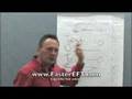 79. Successfully Fat & Persistence Faster EFT