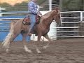 TWH flat shod gelding for sale-SOLD!