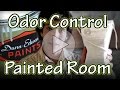how to get rid of paint smell