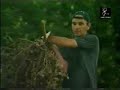 Silvestrismo de la A a la Z Parte 1