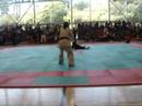 World Oyama Fighters Cup 2007