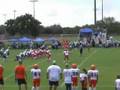 WPPO VS DAVIE 105s HIGHLIGHT