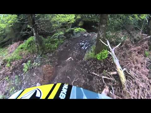 chain reaction cycles