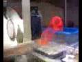 videos de Me and Chayne playin with the slinky PART 2.