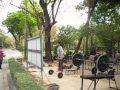things to do in bangkok go to the park!