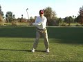 Weight During the Downswing Weight During the Downswing