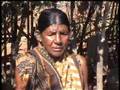 Violence in Orissa, India