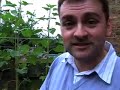 Ready for the chicks (Part 32)