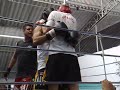 Minha luta