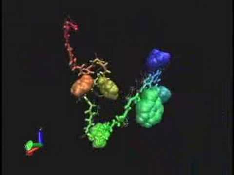 Click here to view on youtube