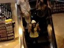 Girlicious at HMV- Vancouver