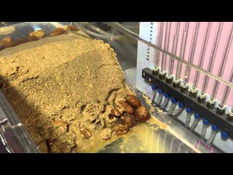 Imagen de previsualización de YouTube