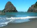 videos de beached