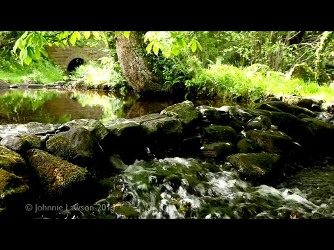 how to meditate regularly