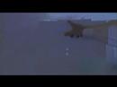 9/11 coincidences  part seven 