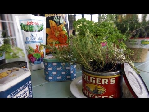 how to replant living herbs