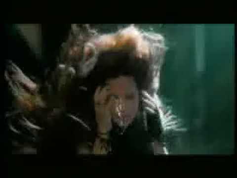 Ver Video