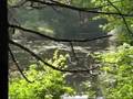 Walden pond