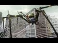 Earth Defense Force 2025 Gameplay Trailer (with giant spiders !)