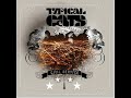 Typical cats - The manhatten project Typical cats - The manhatten project