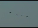 Indish Helicopters