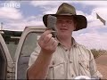 First Aid Kit Rescue - Ray Mears Extreme Survival - BBC