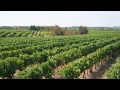 French Wine:... :: France is of course well known for its fine wine... The country began... View Video