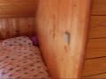 new flat in jihlava