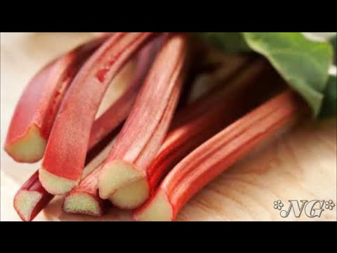 how to harvest rhubarb in fall