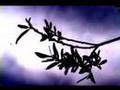 Nature-Piano-Techno