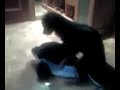 ruky dandolo todo