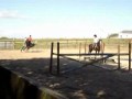 best-horse-video-ever.html