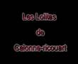 1er festival des bleuets (partie 1)