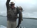 Pêche Truite Grise Pletipi Lake Trout Fishing Trip