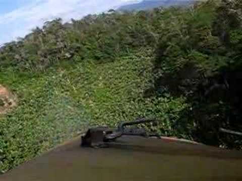 Um Vôo Agricola na banana